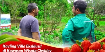 Granada Hills Ciwidey – Tanah Kebun di Kawasan Desa Wisata Ciwidey